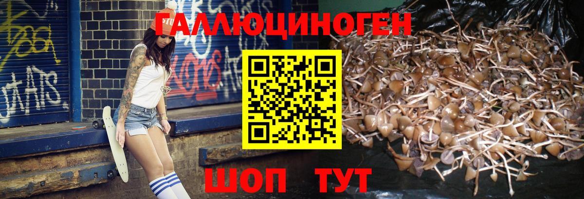 Псилоцибиновые грибы мицелий  Вход с VPN  Тимашёвск 