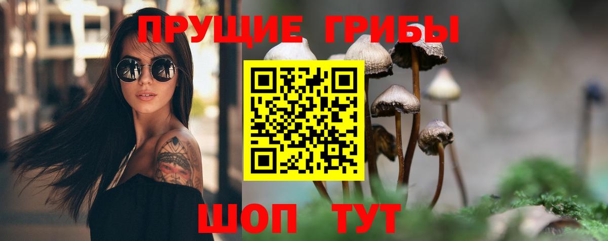 Галлюциногенные грибы GOLDEN TEACHER Тимашёвск